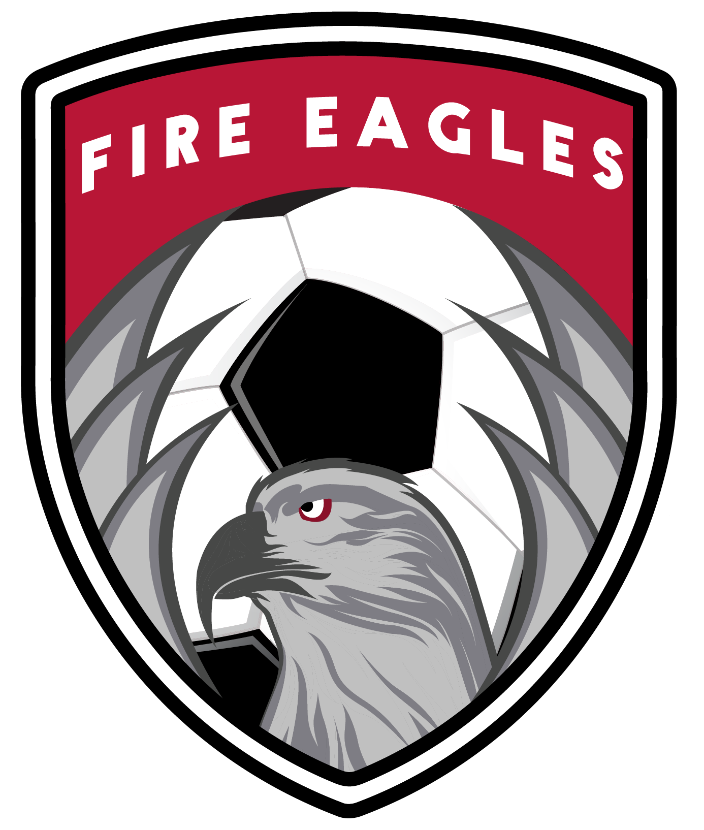 Logo for the Naperville Fire Eagles soccer team