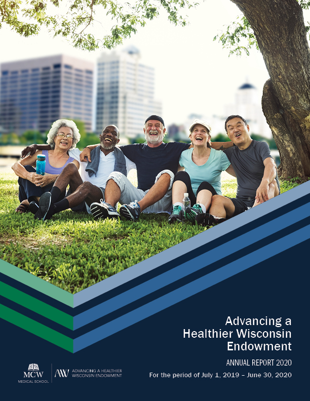 The cover of the Advancing a Healthier Wisconsin Endowment 2020 Annual Report, featuring five middle aged people sitting on the grass and laughing in a Milwaukee park, above an abstract cover design and the report title.