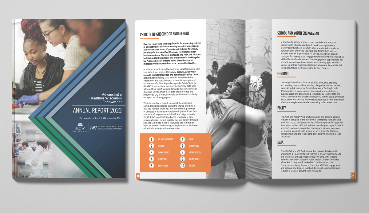 Two examples of aesthetically pleasing annual reports by BrightPath Design
